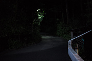 FUJI
